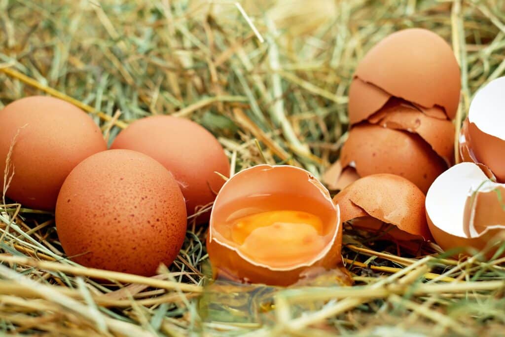 eggs g5c17a5ca6 1920