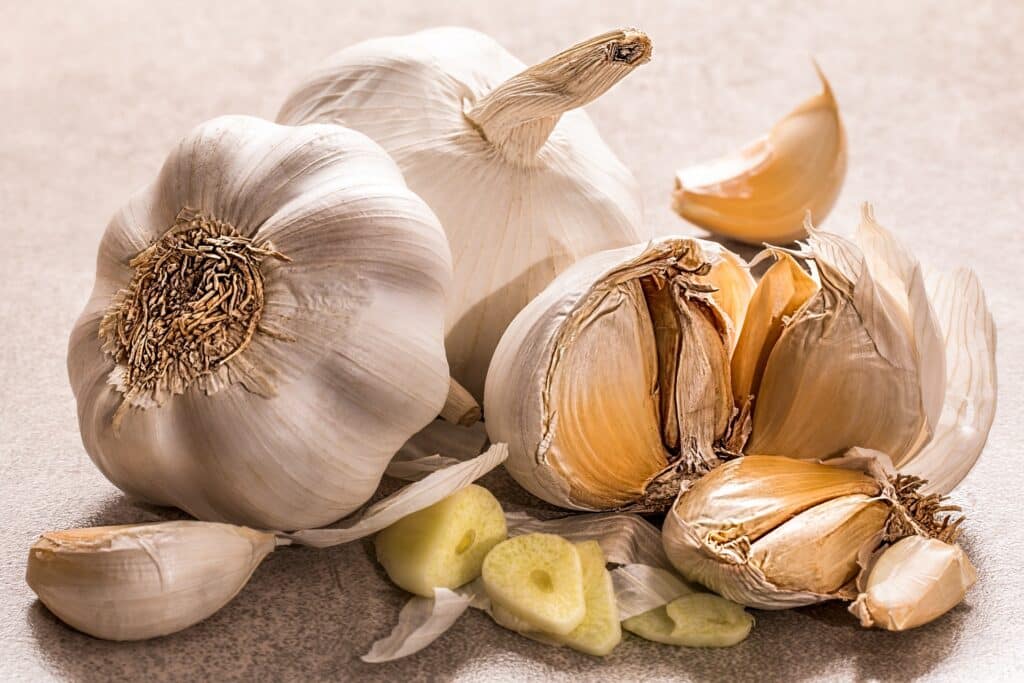 garlic g36d54588b 1920