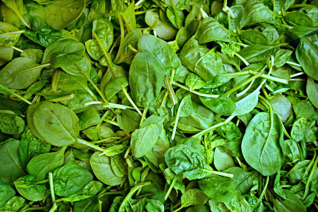 spinach g6787ea948 1920