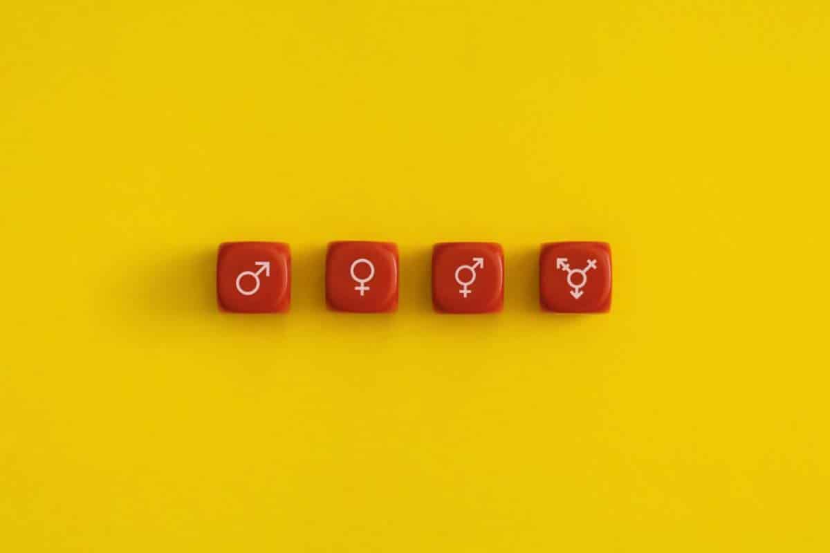 gender and sexual identity on a red cubes 2022 01 12 22 23 22 utc min scaled e1670575163185 1