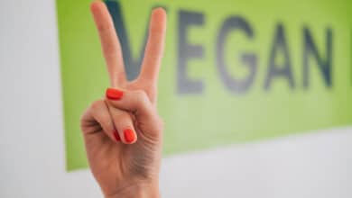 vegan sözcüğünü temsilen elle v harfi