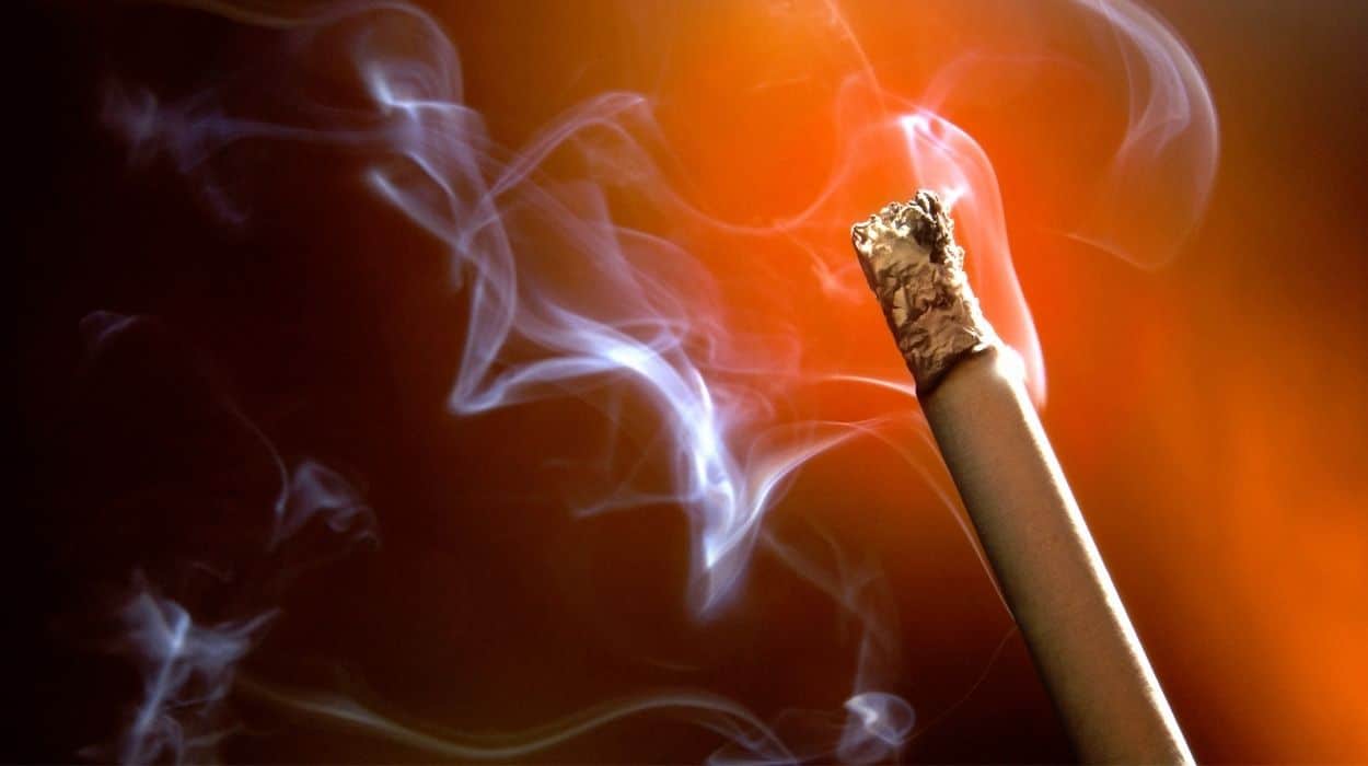 Sigara İçenler Yılda Bir Kez Tomografi Çektirmeli