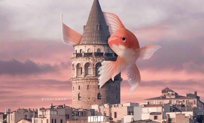 Galata kulesi ve balık