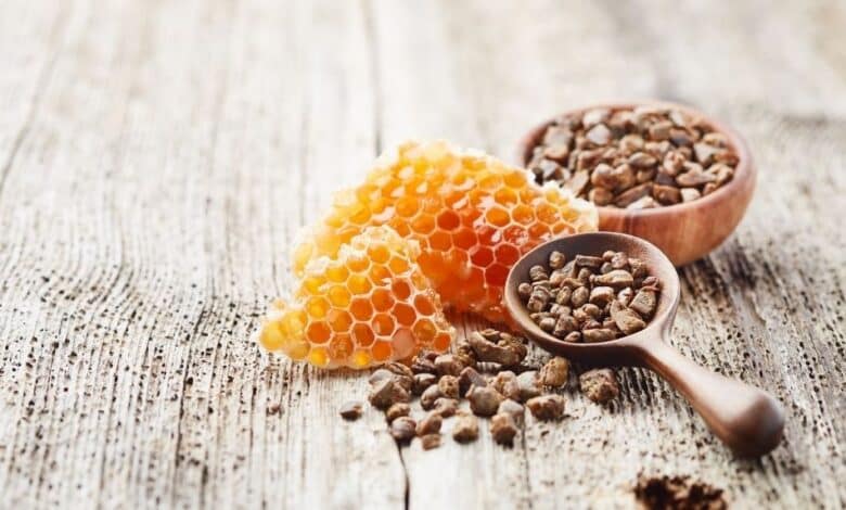 Propolis Nedir?