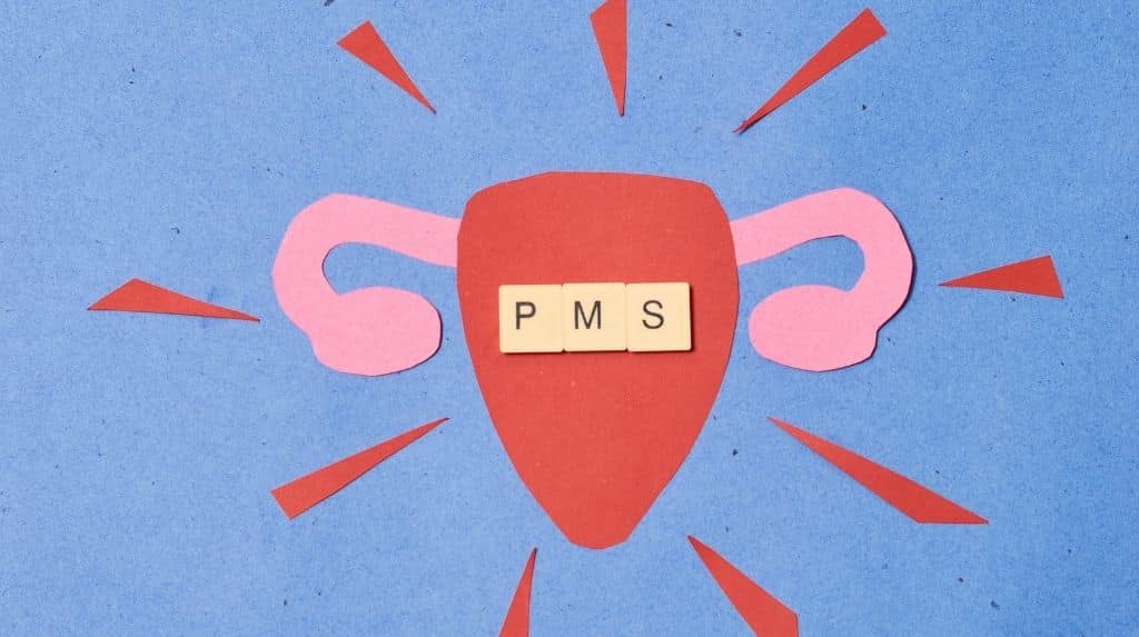 PMS Nedir?
