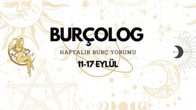 BURCOLOG 1